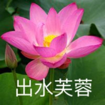 众神之王手游变态版下载